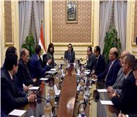 رئيس الوزراء يبحث إقامة مدينة طبية عالمية على أرض مصر