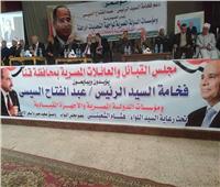 صور | مجلس القبائل العربية والعائلات المصرية يساندون السيسي في مؤتمر حاشد