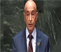 فيديو| وصول رئيس البرلمان الليبي إلى مقر مجلس النواب المصري