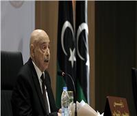 عاجل| عقيلة صالح يصل مجلس النواب المصري