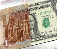زيادة النقد الأجنبي بالبنوك تدفع الجنيه المصري للارتفاع 17 قرشًا أمام الدولار