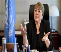 الأمم المتحدة تدعو لوقف فوري لإطلاق النار في إدلب السورية