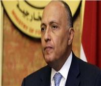 فيديو| وزير الخارجية: مصر تحرص دائما على حماية مصالحها المائية