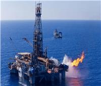 وزير البترول: انتقاد منتدى غاز شرق المتوسط يؤكد نجاح مصر