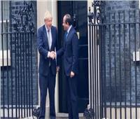 الرئيس السيسي: سعدت بلقاء الأمير وليام ورئيس وزراء بريطانيا