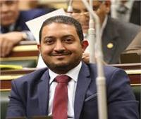 نائب برلماني يقترح رقمنة برامج الإرشاد الزراعي في مصر