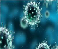 الإمارات تعلن خلوها من فيروس كورونا