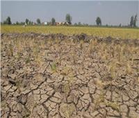 «أكساد» تنظم ورشة عمل التغيرات المناخية وتأثيرها على القطاع الزراعي