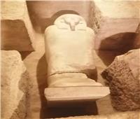أول اكتشاف أثري في 2020.. ١٦ مقبرة تحوي ٢٠ تابوتا بالمنيا