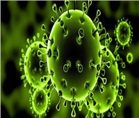 منظمة الصحة تعلن حالة طوارئ عالمية لمكافحة فيروس كورونا