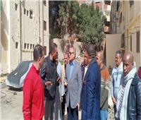 نائب محافظ القاهرة يتفقد أعمال تطوير شجرة مريم في المطرية
