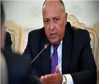 فيديو| وزير الخارجية: دول القارة تقدر الدور المصري في حل مشاكل إفريقيا