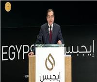 وزير البترول: مصر نجحت في رفع معدلات النمو وخفض معدلات البطالة