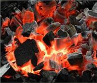 منغوليا تعلق تصدير الفحم للصين حتى 2 مارس المقبل بسبب كورونا