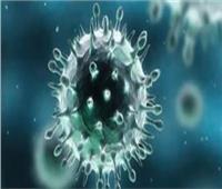 البحرين تعلن تسجيل أول حالة إصابة بـ«فيروس كورونا»