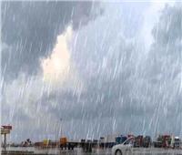 طقس غير مستقر| الأرصاد تحذر: أمطار غزيرة تمتد للقاهرة«فيديو»