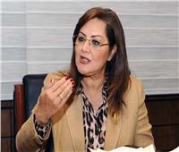 وزيرة التخطيط وممثلو «فايزر» يبحثون سبل دعم رؤية مصر 2030 