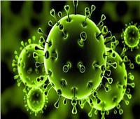 فيروس كورونا.. الأعراض والوقاية والتعقيم بالشكل الصحيح