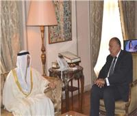 وزير الخارجية يبحث مع نظيره الإماراتي الأزمات الإقليمية الراهنة ومجالات التعاون الثنائي