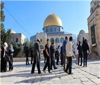 49 مستوطنًا إسرائيليًا يقتحمون المسجد الأقصى المبارك