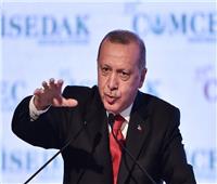 "الديهي": "أردوغان" يسعى لمنح إسرائيل 216 ألف فدان على الحدود مع سوريا