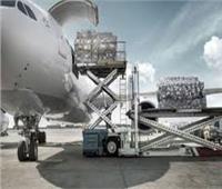 «الإياتا» يطالب باستبعاد الشحن الجوي من قيود السفر بسبب «كورونا»