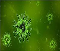جامبيا تسجيل أول إصابة بفيروس «كورونا» المستجد