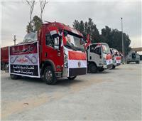 بالصور| الهلال الأحمر المصري يقدم مستلزمات طبية وإنسانية لقطاع غزة