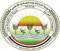 «الزراعة»: «المركزي» وافق على استفادة الأنشطة الزراعية من مبادرة دعم الصناعة