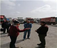صور| فتح بوابات إضافية بميناء الإسكندرية لتصدير الحاصلات الزراعية