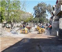 قرى أبيس تبدأ تنفيذ مبادرة "تطهير وتعقيم القرى والنجوع بالإسكندرية"