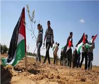 يوم الأرض.. 44 عامًا من نضال شعب فلسطين دون استكانة للاحتلال