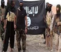 العراق: مقتل 4 إرهابيين من "داعش" بعملية أمنية جنوب ديالي