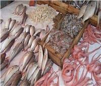 استقرار أسعار الأسماك في سوق العبور اليوم ٢ أبريل 