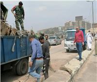 رفع أطنان من القمامة خلف مستشفى الشيخ زايد بمدينة نصر