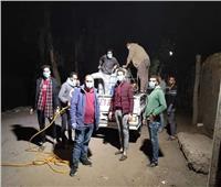 «شباب طوخ» بالقليوبية يتحدون لتنظيف وتطهير قريتهم لمواجهة فيروس كورونا