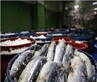 ضبط وإعدام 53 طن أغذية متنوعة وأسماك مملحة ومدخنة بمحافظات الجمهورية