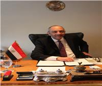 السفارة المصرية بإسبانيا تناشد بسرعة التسجيل للحصول على تصريح  السفر