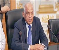 رئيس النواب يطالب بحضور «شوقي» و«عبد الغفار» لمناقشة تأجيل الدراسة