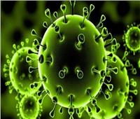 فيديو.. «القرار في أيدك» للحماية من فيروس كورونا
