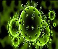 فيديو| تعرف على أبرز طرق الوقاية من فيروس «كوفيد19»