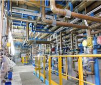 "قطاع الأعمال": شركة مصر لصناعة الكيماويات ترفع إنتاجها من المطهرات لـ120 ألف طن سنويا 
