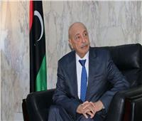 رئيس «النواب» الليبي: علاقتي بالمشير حفتر متينة.. وهدفنا إزالة حكومة الوفاق «البائسة»