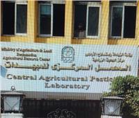 الزراعة: المركزي للمبيدات يشارك في تحليل الأغذية لتلبية الطلبات المتزايدة على الصادرات المصرية 