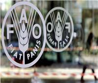 «فاو»: تراجع أسعار الغذاء العالمية للشهر الثالث على التوالي