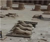 ترميم تماثيل الكباش بالأقصر استعدادا لنقلهم إلى القاهرة