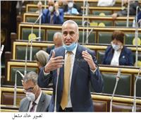 برلماني يطالب بحل مشكلة إلغاء تراخيص بعض الحصص الاستيرادية لتجار بورسعيد‎