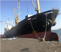 صور| اقتصادية قناة السويس: 45 سفينة إجمالي الحركة بموانئ المنطقة الجنوبية خلال الأسبوع الماضي