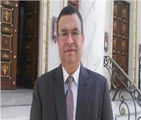 برلماني: اتفاقية «جوبا» تؤكد دور مصر الريادي في إفريقيا‎