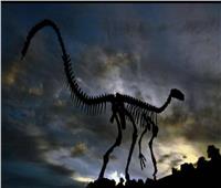دراسة حديثة تنفي نظريات انقراض الديناصورات القديمة